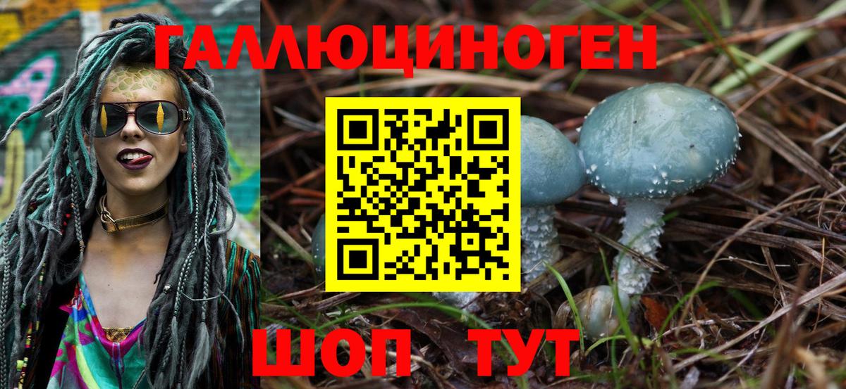 дарнет шоп  Вход с VPN  Елизово  Псилоцибиновые грибы ЛСД 